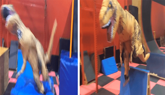 YouTube viral: dinosaurio que practica parkour se vuelve una celebridad en redes [VIDEO]