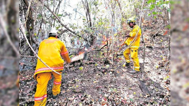 Tras 9 días, incendio forestal en reserva de Tumbes fue mitigado