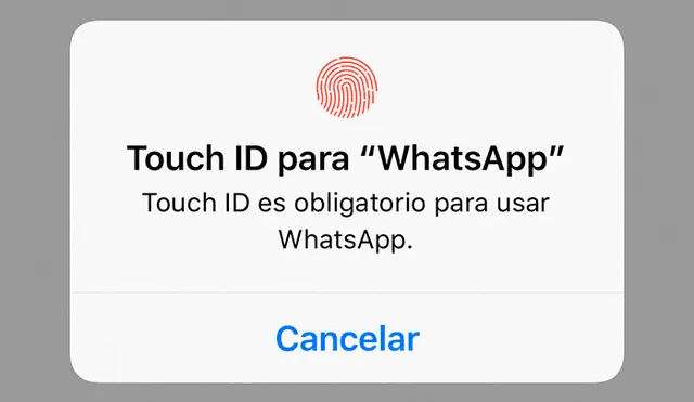 WhatsApp Trucos: aprende cómo bloquear tus conversaciones en la aplicación usando solo tu rostro [VIDEO]