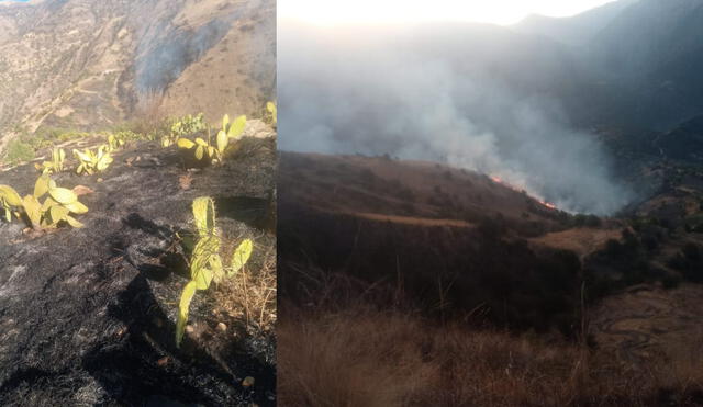 Incendios forestales dejan tres muertos en Cusco y Apurímac