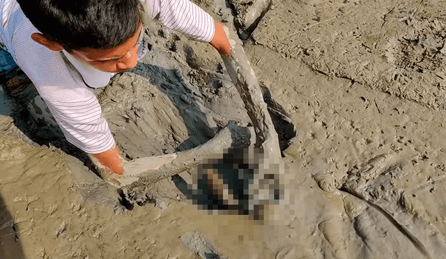 YouTube viral: joven se sumerge en estanque de fango y descubre misteriosa criatura cuyo aspecto sorprende a miles