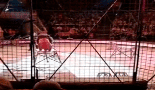 YouTube viral: Descontrolado león ataca a domador en circo y termina de esta manera [VIDEO]