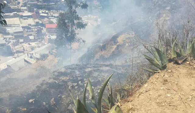 Pasco: en una semana, ocho incendios forestales afectan 29 hectáreas