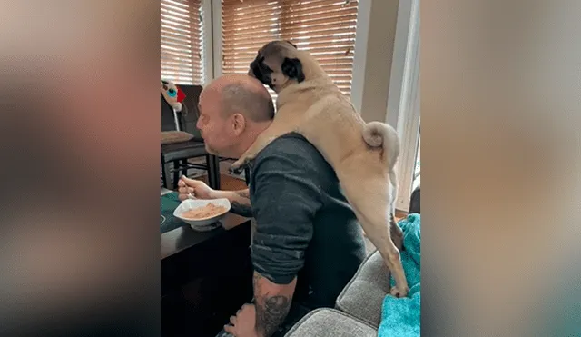 YouTube viral: su padre no quería perros en casa y ella lo descubre en una tierna escena con su mascota