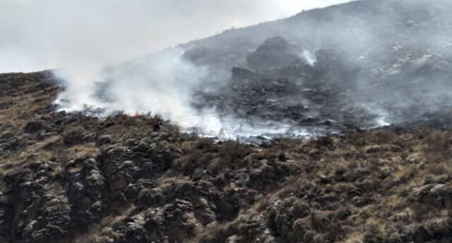 Cusco: Incendio forestal arrasó con 11 hectáreas de pastizales en Canchis