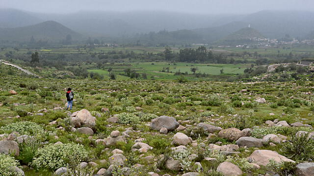 Terrenos del Promuvi en Arequipa con riesgo volcánico