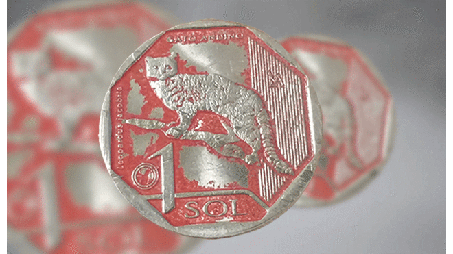 Moneda roja el gato