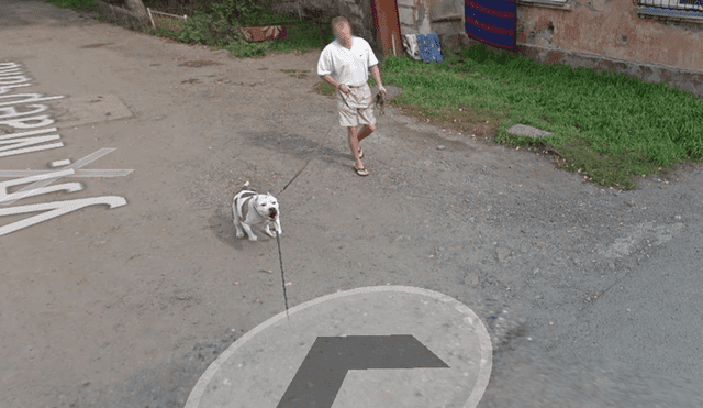 Google Maps: perro pitbull ve el auto de Google y reacciona así [FOTOS]