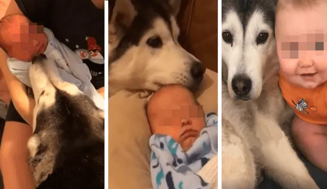 Desliza las imágenes para apreciar la recopilación de conmovedores momentos de un bebé con su perro.