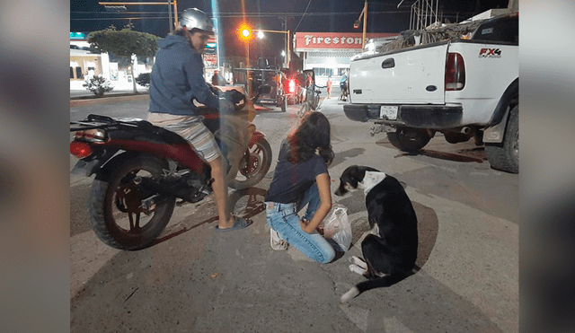Desliza las imágenes para conocer la generosa acción de una pareja de novios con unos animales callejeros.