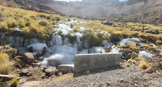 Bajas temperaturas en Puno causan estragos.