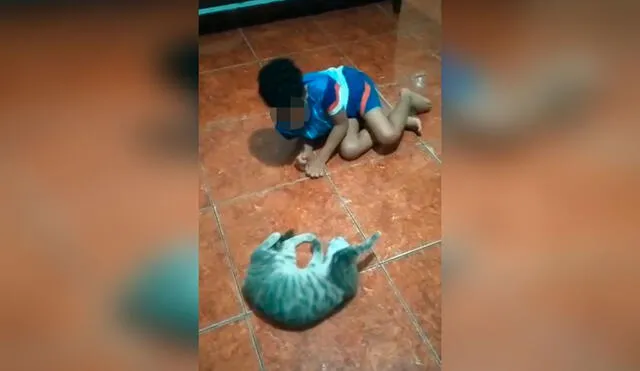 Desliza las imágenes para apreciar el amoroso momento entre un niño y su gato tras quedarse solos en casa. Foto: captura de Facebook