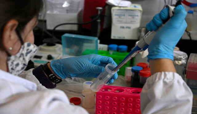 Un sinfín de países realizan estudios vinculados con el coronavirus SARS-CoV-2. Foto: AFP