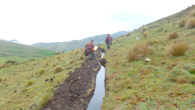 Limpieza de canales de riego en sierra de Lambayeque