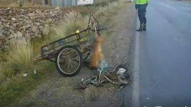 Anciano y su perrito mueren arrollados en Puno