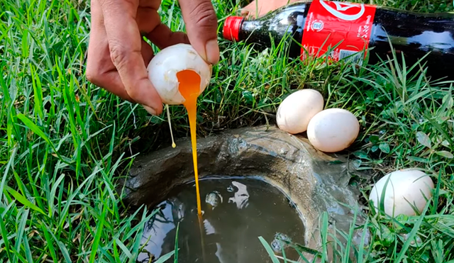 YouTube viral: arroja gaseosa y huevos en agujero y en segundos aparecen extraños peces
