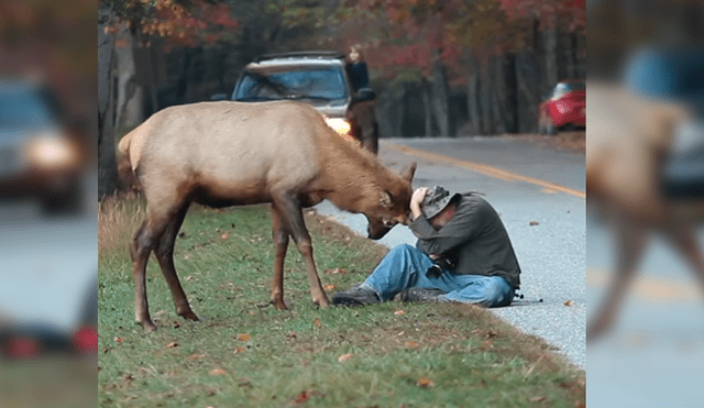 Vía Facebook. La actitud del hombre tras recibir el furioso ataque del animal dejó a más de uno con la boca abierta