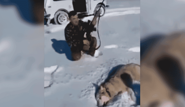 YouTube: Posaba junto a lobo que cazó, este “volvió a la vida” y lo atacó [VIDEO]
