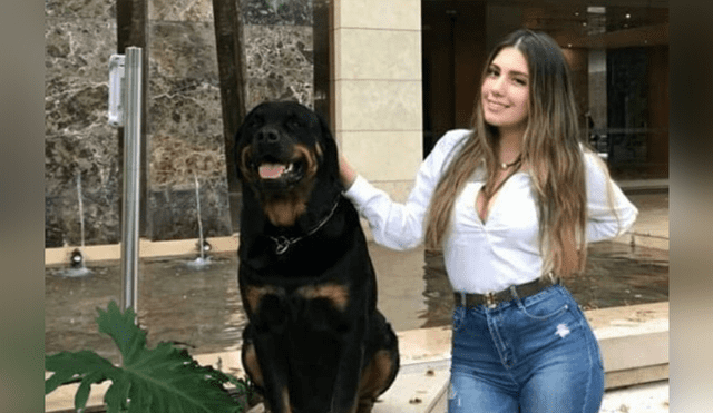 Facebook viral: mujer pasea a su perro y se niega a recoger su excremento, su vecina la avergonzó [VIDEO] 