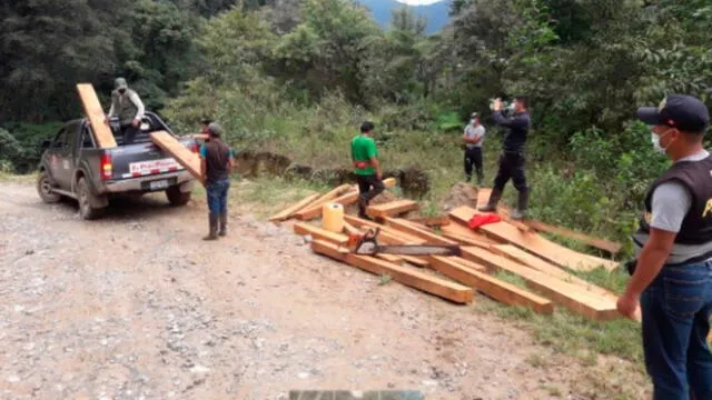 Decomisan madera ilegal en el Santuario de Tabaconas