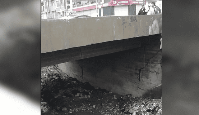 Arequipa: perros sin hogar que se refugiaron bajo puente fueron arrastrados por huaico [VIDEO]