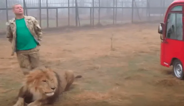 YouTube viral: jóvenes querían tomarse foto con leones, pero depredadores intentan atacarlos [VIDEO]