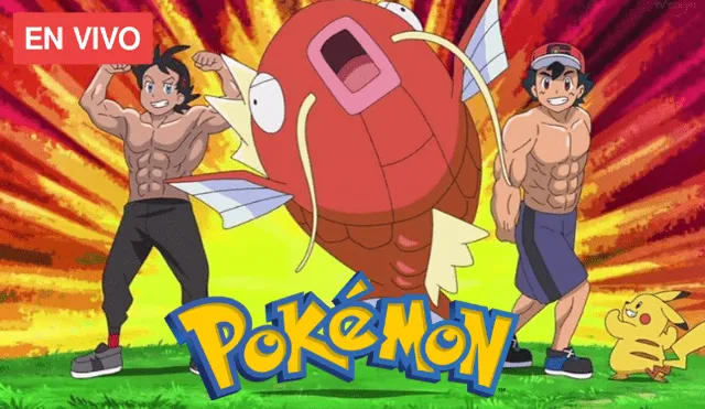Pokémon 2019 - Capítulo 26 EN VIVO (Foto: Toei Animation)