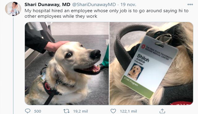 Desliza las imágenes para conocer la historia de un perrito que ‘trabaja’ en un centro de salud para alegrar a las personas. Foto: Twitter