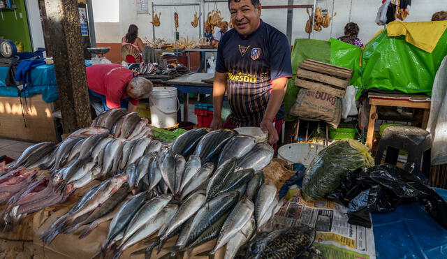 Pescados en terminal pesquero