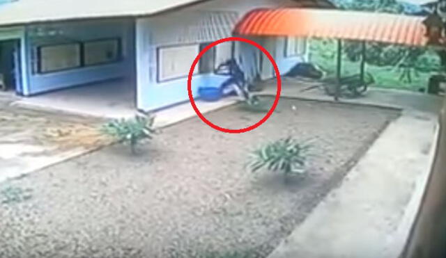 YouTube: torpe ladrón sufrió para entrar a una casa, pero adentro se llevó la peor decepción
