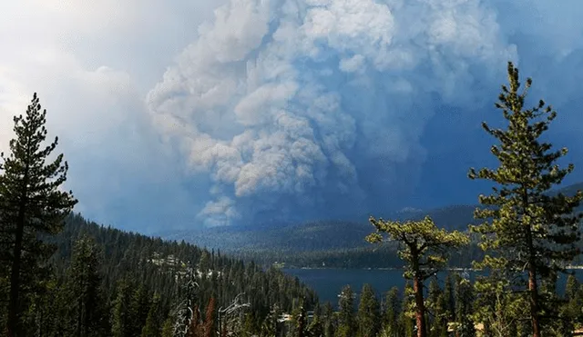 Hasta este domingo por la mañana, el fuego ha arrasado con más de 45 000 acres y el incendio se encuentra fuera de control con un 0% de contención. Foto: EFE