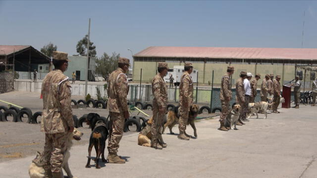 Los canes y sus instructores recibieron la certificación en una ceremonia. Foto: Ejército Peruano.
