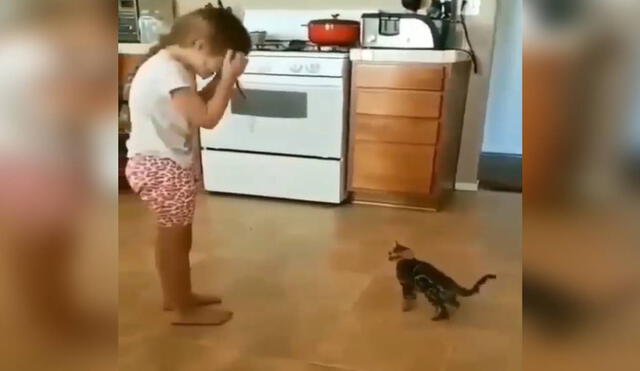 Desliza las imágenes para observar la tierna acción de un gatito bebé que trató de ‘imitar’ a la hija de su dueña. Foto: captura de TikTok