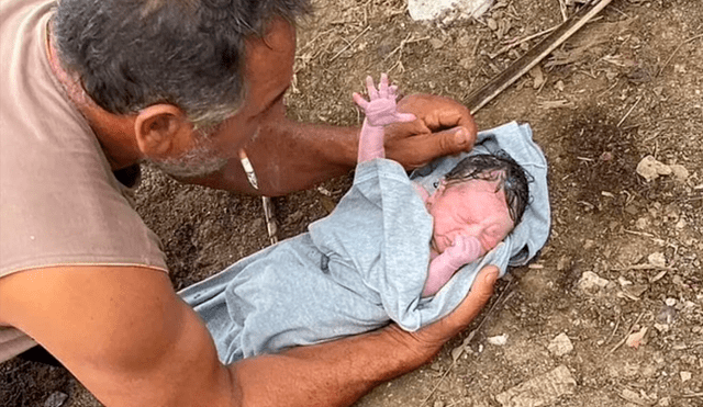 Una bebé sobrevivió tras ser arrojada a un río desde un puente. Foto: Newsflash