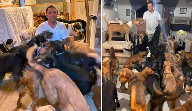 Ricardo Pimentel Cordero contó en Facebook que reunió en su casa a unos 300 perros callejeros para protegerlos del huracán Delta. Foto: Composición / El Universal de México