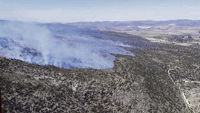 Fuego barre con más de mil hectáreas de bosque en Arequipa [EN VIVO]