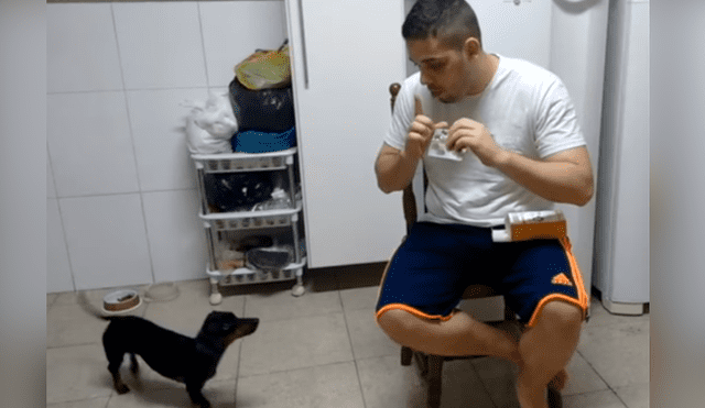Facebook viral: hombre usa truco para engañar a su perro y que tome su medicina [VIDEO]