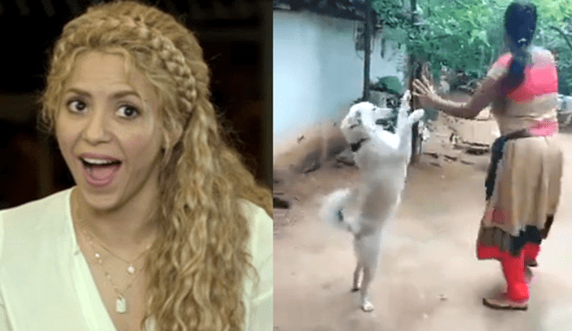 Facebook: perrito mueve las caderas con su dueña al ritmo de Shakira [VIDEO]