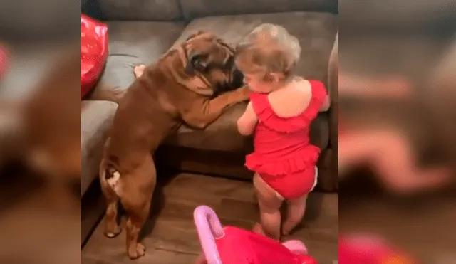 Video es viral en Facebook. La mamá de la bebé grabó el curioso episodio que protagonizó la menor junto a su mascota tras imitar los graciosos movimientos de esta