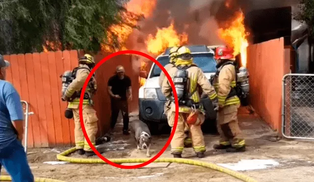 Facebook: joven ingresó a su hogar cubierto en llamas para salvar a su perro que estaba dentro [VIDEO]