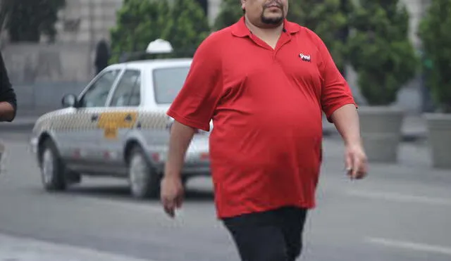 La mala alimentación y la falta de ejercicio físico son los principales factores de riesgo para llegar a padecer obesidad o sobrepeso. Foto: La República