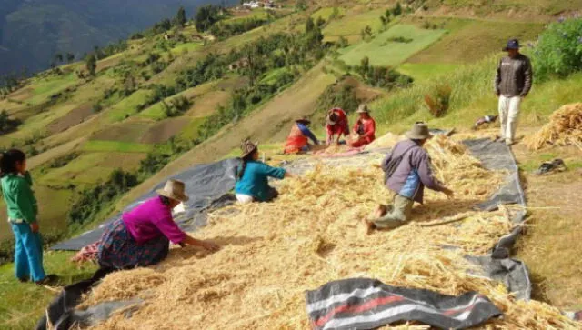 Junín: Agroideas aporta 7 millones en beneficio de organizaciones agrarias 