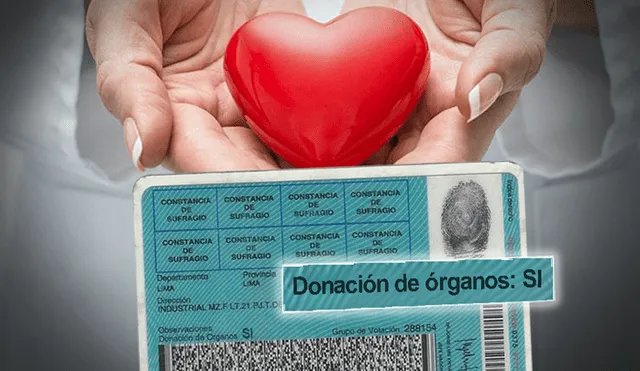 donacion de organos