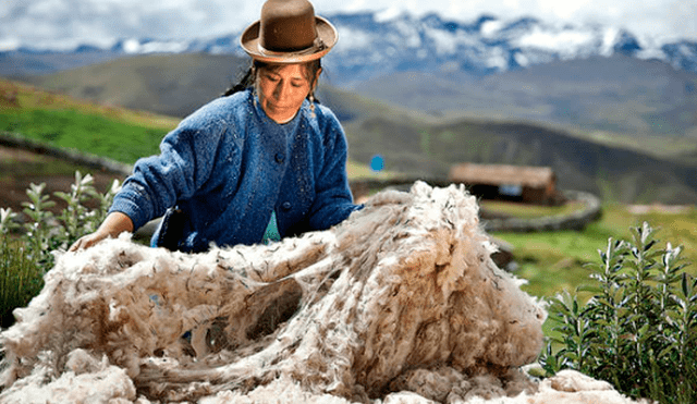 Exportaciones textiles de alpaca crecieron 48,8% en el primer semestre