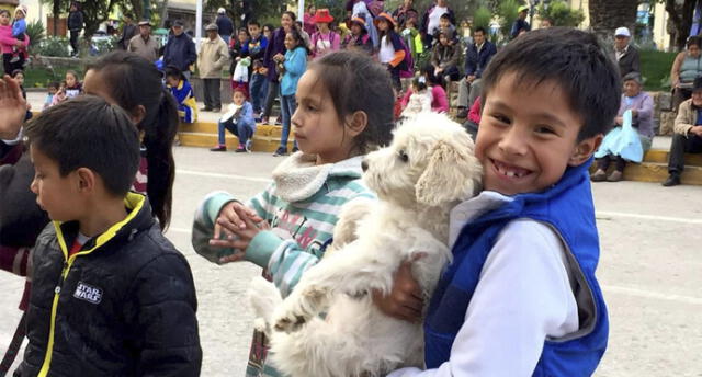 Apurímac: aprueban ordenanza para proteger a mascotas del maltrato en Talavera
