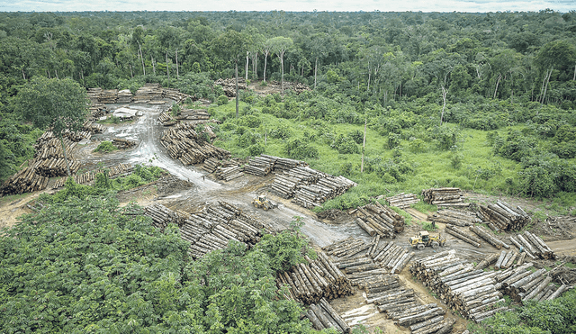 Daño. En el 2020 más de 200.000 hectáreas fueron deforestadas en la Amazonía peruana.
