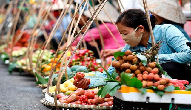 Vendedores de frutas en Hanoi, Vietnam, el miércoles 10 de junio. Foto: EFE