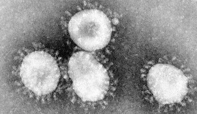 El coronavirus podría estar circulando entre humanos desde hace décadas. Foto: CDC.