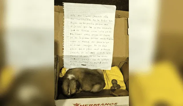 Facebook viral: niña de 7 años abandona a su perrita con emotiva carta [FOTO]