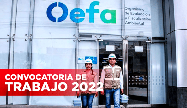 OEFA anunció una nueva convocatoria laboral para profesionales de distintas carreras. Foto: composición de Jazmín Ceras/Perú Energía